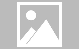 仁怀网页设计英文默认字体（网页设置英文转换中文）
